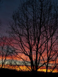 _MG_0742 Spectacular Sunset Tonight