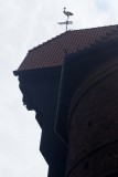 120_20080820_14-01-20.jpg