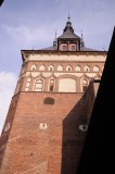 166_20080820_16-47-41.jpg
