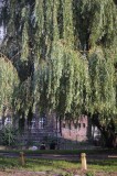 171_20080820_17-04-27.jpg