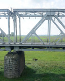 233_20080821_10-45-31.jpg