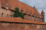 261_20080821_11-47-48.jpg