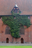 268_20080821_12-18-21.jpg