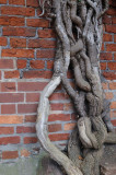 276_20080821_12-30-43.jpg
