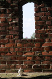 306_20080821_14-36-36.jpg