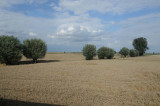 342_20080821_16-20-51.jpg