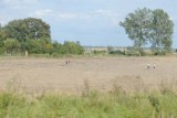 343_20080821_16-21-41.jpg