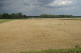 347_20080821_16-27-37.jpg