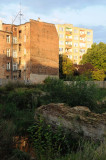 353_20080821_19-07-02.jpg