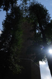 434_20080822_15-09-47.jpg