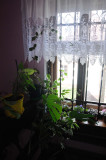 444_20080822_15-29-12.jpg