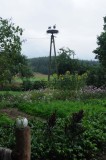 473_20080823_11-19-25.jpg
