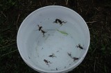 496_20080823_12-03-44.jpg