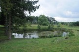 524_20080823_14-41-45.jpg