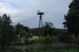 530_20080823_15-04-17.jpg