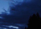 576_20080823_20-24-30.jpg