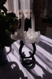 599_20080824_10-37-29.jpg