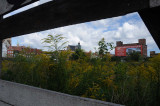 677_20080825_10-14-17.jpg