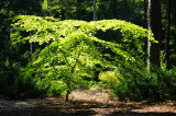 766_20080826_11-44-18.jpg