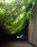 786_20080826_16-43-54.jpg