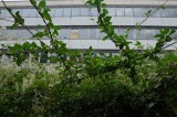 787_20080826_16-44-56.jpg