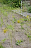 792_20080826_17-03-06.jpg