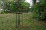 818_20080827_11-08-59.jpg