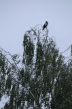 822_20080827_11-25-40.jpg