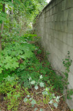 840_20080827_12-22-53.jpg