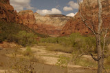 Virgin River with West Temple in Back.jpg