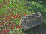 Old stone and spring flowers 0674a