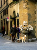 Passeggiata with dog and phone<br />5891
