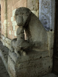 Lion, Abbey of San Pietro6331