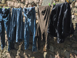 Laundry in Blue and Brown<br />6603