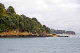New Zealand Shoreline
