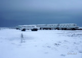 Great White Bear Tundra Lodge