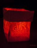 Luminary 2009