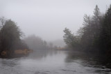 Stewiacke River Morning