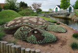 A garden for the turtle freaks