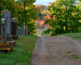 Pereau graveyard