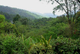 View down the Arima Valley from the AWC balcony