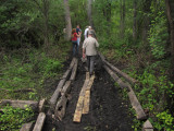 Springs trail2 - muddy spot.jpg