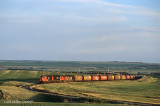 Swalwell, AB
