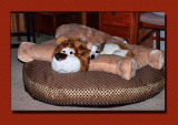 The Princess & The Pea