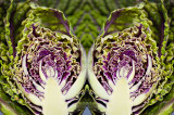 Split Personality<br>10th Place<br>STF Challenge 164<br>Exhibition