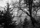 View from Chuckanut - more contrast