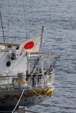 Tall ship Akogare, Osaka