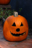 Carved pumpkin (jack-o-lantern) Halloween, Annapolis