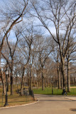 Central Park