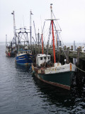 Fishing harbor, Provincetown